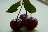 Фотография Левченко Татьяны