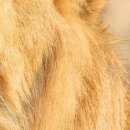 أنفسهم أحب фотография #4 (источник - https://vk.com/id145913596)