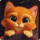 Надія Яворська фотография #26 (источник - https://vk.com/id162937961)