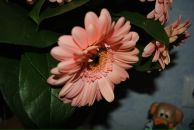 Фотография Скутневой Елены