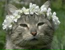Фотография Никитиной Ирины