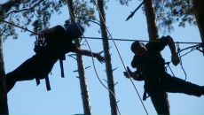 Фотография Севастьяновой Леси