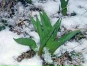 Фотография Виты Светланы