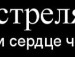 Рома Поліванчук фотография #10 (источник - https://vk.com/id121903207)