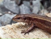 Ігор Солтан фотография #40 (источник - https://vk.com/id63835188)