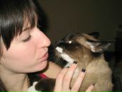 Фотография Коваленко Татьяны