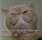 Фотография Фаритович Азат