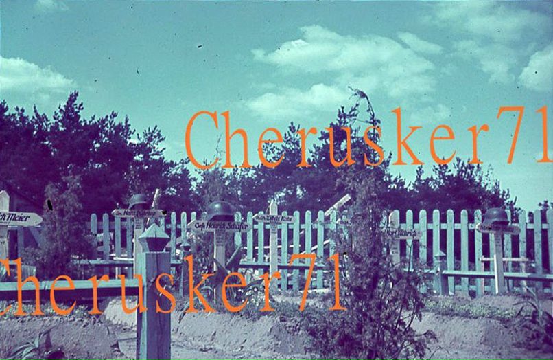 Дмитрий Фил фотография #8