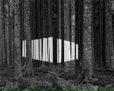 Фотография Горбачева Андрея