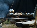 Анастасія Петрова фотография #21 (источник - https://vk.com/id99896113)