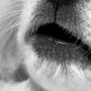 Альона Кіссс фотография #40 (источник - https://vk.com/id112118890)