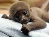 Фаріда Валієва фотография #5 (источник - https://vk.com/id23928041)