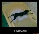 Віталій Андрійчук фотография #9 (источник - https://vk.com/id161394008)
