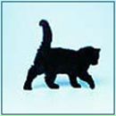 Фотография Кошатницы Котьки