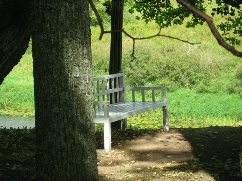 Дмитрий Сохацкий фото №45