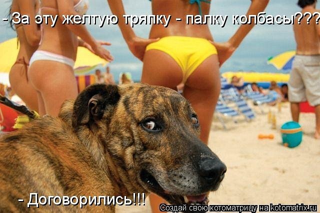 Ирина Левченко фотография #49