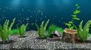 Олег Мірошниченко фотография #45 (источник - https://vk.com/id150973260)