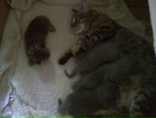 Іра Юрченко фотография #40 (источник - https://vk.com/id38788928)