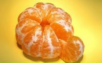 Фотография Сендерова Михаила