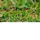 Іванна Панчук фотография #41 (источник - https://vk.com/id70090382)