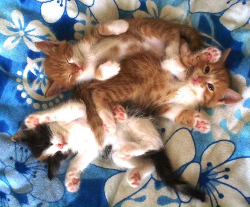 Еля Матвийчук фотография #11