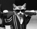 Nort1n ^___^ фотография #5 (источник - https://vk.com/id151299108)