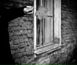 Фотография Смоляр Юлии