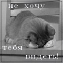 Мальвіна Шерстюк фотография #49 (источник - https://vk.com/id123727904)