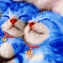 Мальвіна Шерстюк фотография #26 (источник - https://vk.com/id123727904)