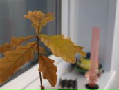 Фотография Ченцова Андрея