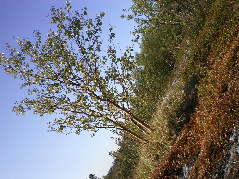 Саша Шляхов фотография #38