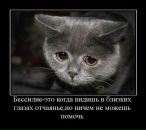 Андрей Ильющенков фотография #42 (источник - https://vk.com/id3568477)