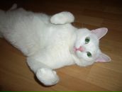 Фотография Тарабаровой Натальи