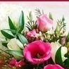 Аліна Тимків фотография #42 (источник - https://vk.com/id139039627)