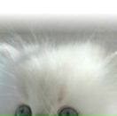 Анастасія Гудзак фотография #33 (источник - https://vk.com/id98965948)