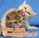 Світлана Іванова фотография #36 (источник - https://vk.com/id101197013)