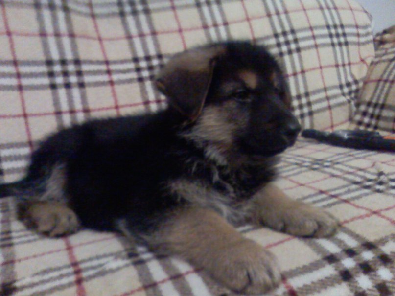 Игорь Феденко фотография #31