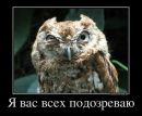 Лілія Ломакова фотография #26 (источник - https://vk.com/id39333463)
