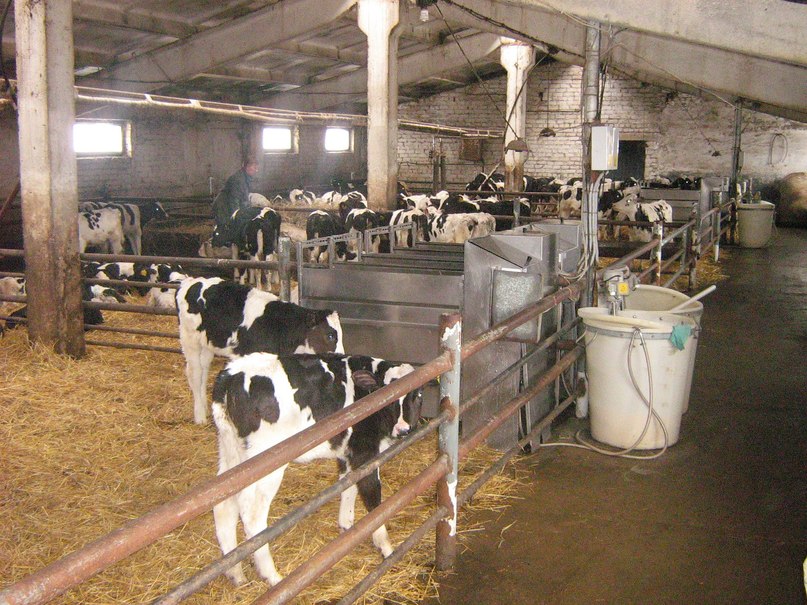 Иван Плотников фотография #47