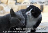 Сергій Головко фотография #40 (источник - https://vk.com/id161575651)