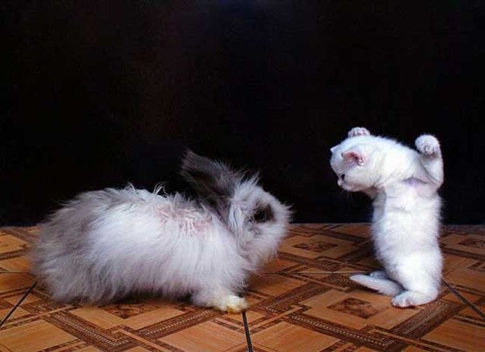 Владимир Р фотография #27