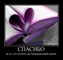 Вікторія Дибач фотография #36 (источник - https://vk.com/id71447905)