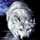 Віва Мира фотография #2 (источник - https://vk.com/id155831410)