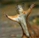 Артур Хайруллин фотография #24 (источник - https://vk.com/id4701778)