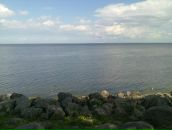 Дмитрий Филин фотография #24 (источник - https://vk.com/id49923791)