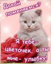 Оля Бойців фотография #50 (источник - https://vk.com/id77965325)