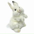 Фотография Зінчука Боди