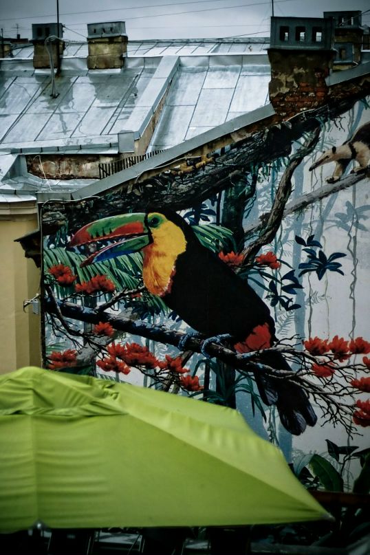 Марина Цукерман фотография #36