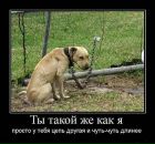 Ольга Єсипчук фотография #48 (источник - https://vk.com/id41668961)