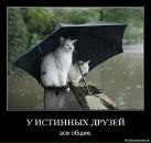 Володимир Іванець фотография #19 (источник - https://vk.com/id8035163)